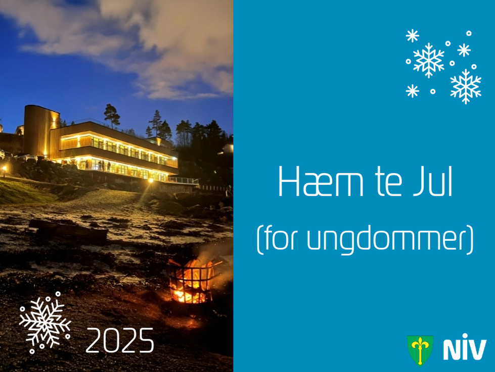 Hæm te Jul - Frosta ungdom 2025